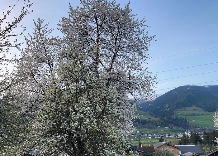 Bichlhaus Apartamento